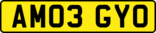 AM03GYO