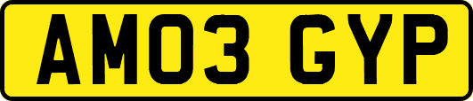 AM03GYP