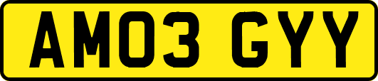 AM03GYY