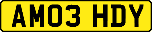 AM03HDY