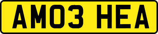 AM03HEA