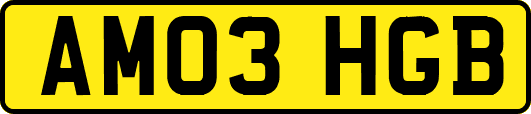 AM03HGB
