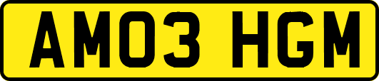 AM03HGM