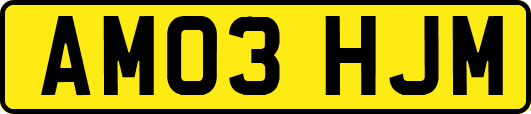 AM03HJM