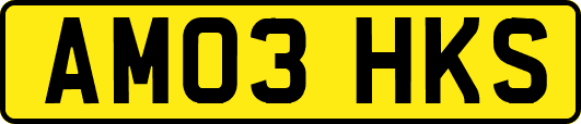 AM03HKS