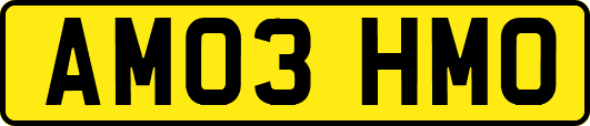 AM03HMO