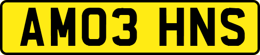 AM03HNS
