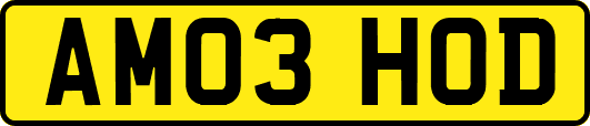 AM03HOD