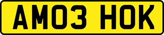 AM03HOK