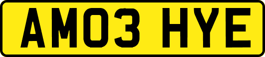 AM03HYE