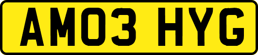 AM03HYG