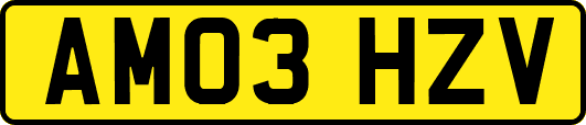 AM03HZV