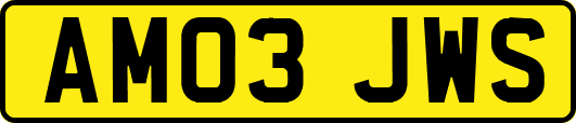 AM03JWS