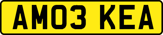 AM03KEA