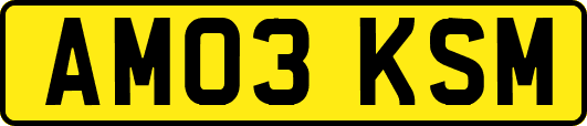 AM03KSM