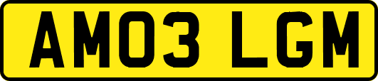 AM03LGM