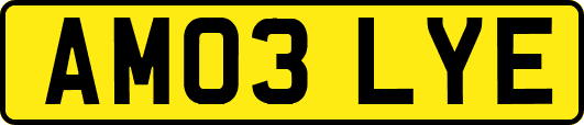 AM03LYE