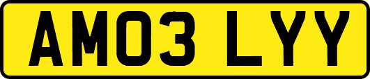 AM03LYY