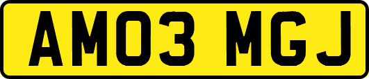 AM03MGJ