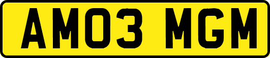 AM03MGM