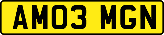 AM03MGN