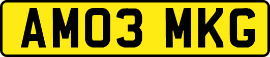 AM03MKG