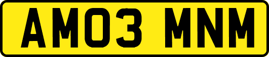 AM03MNM