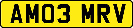 AM03MRV