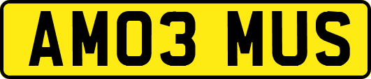 AM03MUS