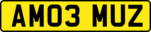 AM03MUZ