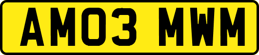 AM03MWM