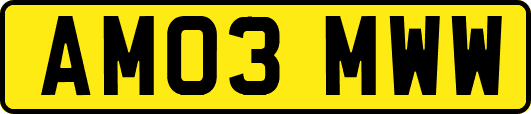 AM03MWW