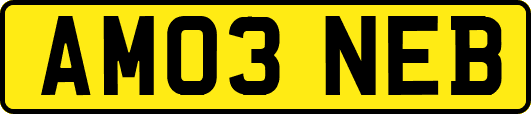 AM03NEB