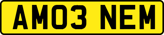 AM03NEM