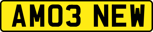 AM03NEW