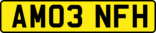 AM03NFH