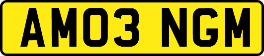 AM03NGM