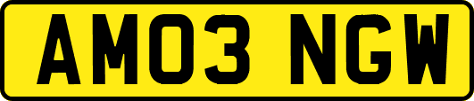 AM03NGW