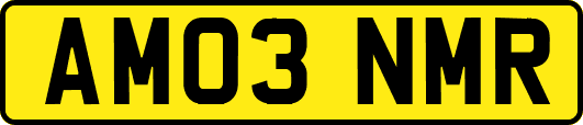 AM03NMR