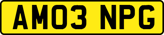 AM03NPG