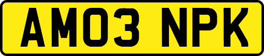 AM03NPK