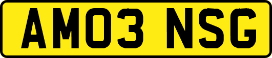 AM03NSG