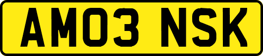 AM03NSK
