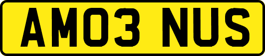 AM03NUS