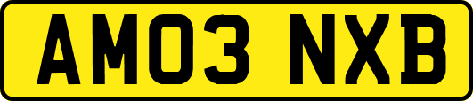 AM03NXB
