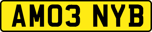 AM03NYB