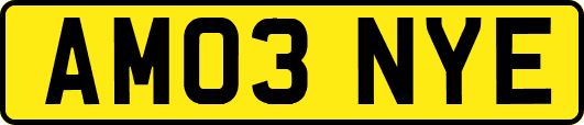 AM03NYE