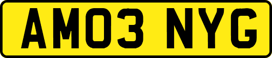 AM03NYG