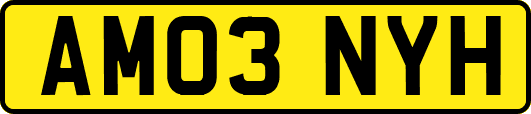 AM03NYH