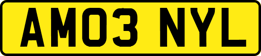 AM03NYL
